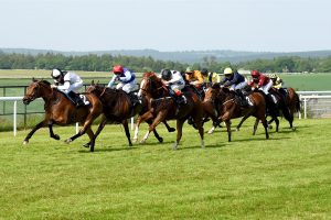 Goodwood Racecourse