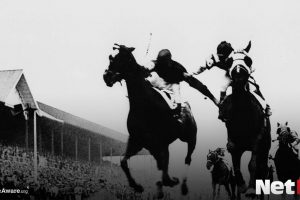 Ever wondered what a Yankee Bet is? Wonder no more, we've explained everything here!