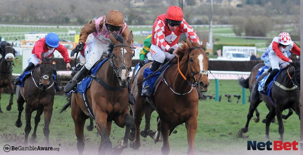 How to bet on horse racing