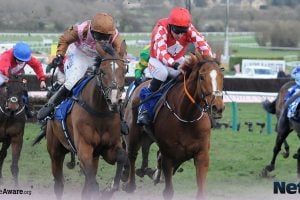 How to bet on horse racing