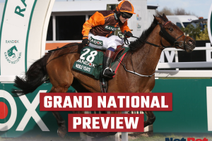 Grand National winner Noble Yeats