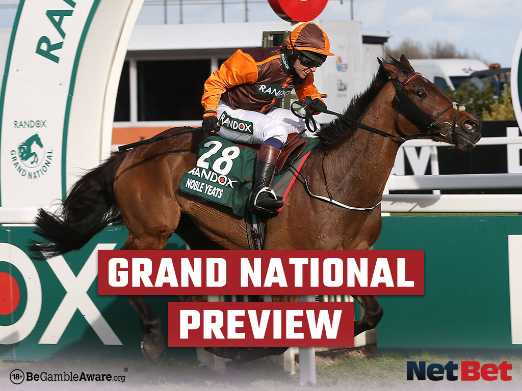 Grand National winner Noble Yeats