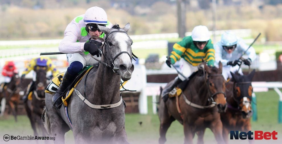 Cheltenham Festival: Day 1 Tips