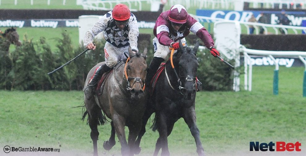 Cheltenham Festival Day 2 Preview and Picks