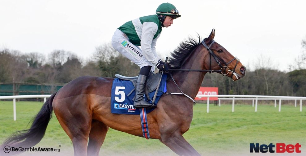 Cheltenham Festival Day 2