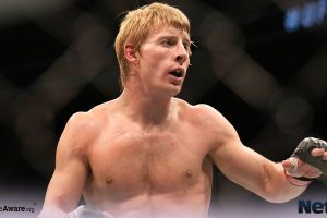 UFC 314 Preview