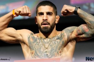 UFC 317 Preview