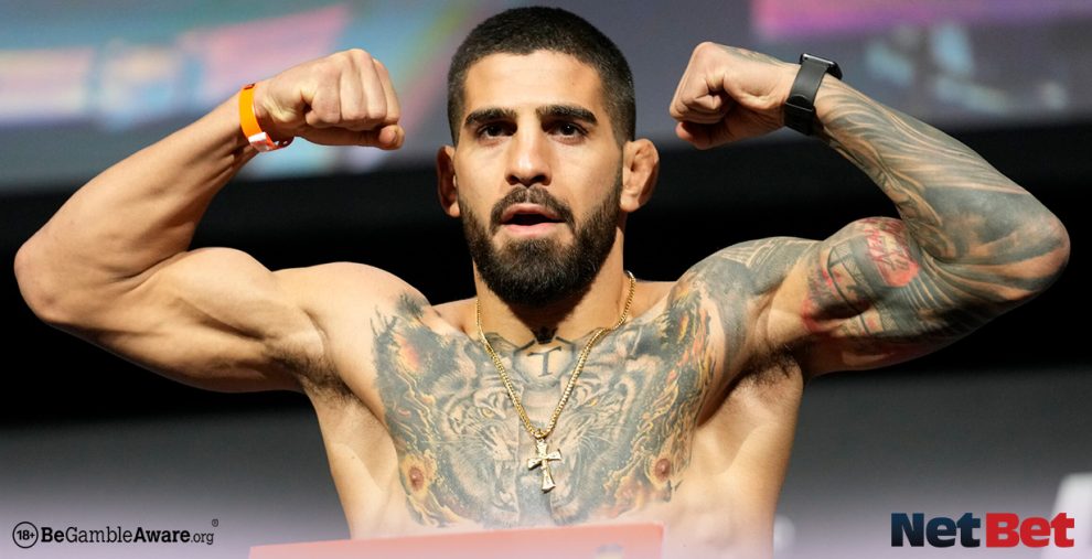 UFC 317 Preview
