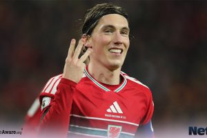 Wales vs Bosnia & Herzegovina Preview